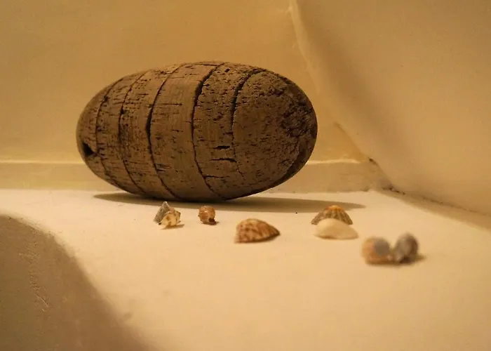 L'ostendaise 公寓 *