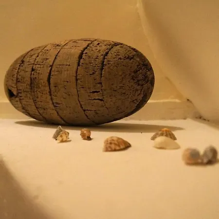 L'ostendaise Διαμέρισμα *